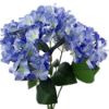 Picture of 49cm LARGE HYDRANGEA BUSH BLUE