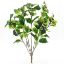 Picture of 40cm LARGE HOLLY AND BERRY BUSH VARIEGATED