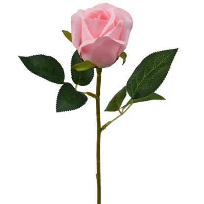 Picture of SINGLE SHORT STEM ROSEBUD PINK