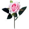 Picture of SINGLE SHORT STEM ROSEBUD PINK