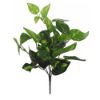 Picture of 33cm POTHOS BUSH 2 TONE GREEN