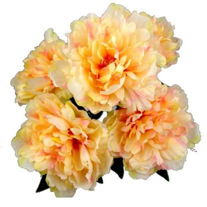 Picture of 44cm PEONY BUSH PEACH