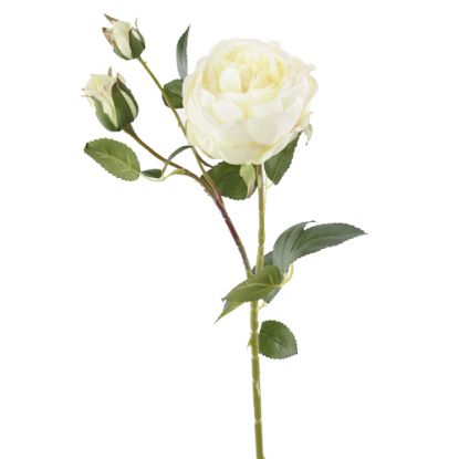 Picture of 72cm LARGE PEONY SPRAY IVORY