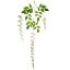 Picture of BEAN FLOWER TRAIL IVORY X 6pcs