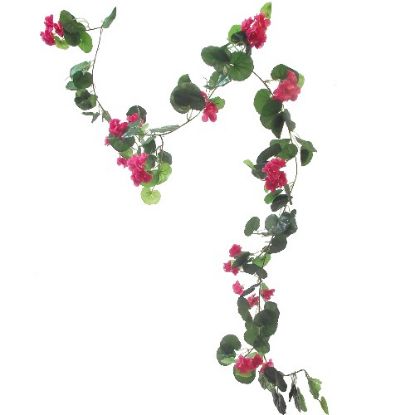 Picture of GERANIUM GARLAND HOT PINK