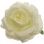 Picture of SINGLE ROSE FLOWER HEAD IVORY X 48pcs