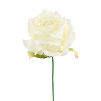 Picture of 27cm SINGLE OPEN ROSE IVORY