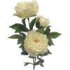 Picture of 92cm LARGE PEONY SPRAY IVORY