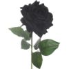 Picture of 74cm LUXURY LARGE SINGLE VELVET TOUCH OPEN ROSE BLACK