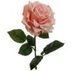 Picture of 74cm LUXURY LARGE SINGLE VELVET TOUCH OPEN ROSE PEACH