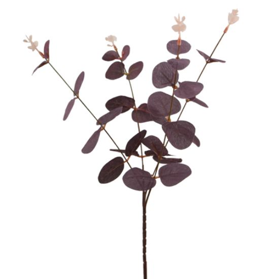 Picture of 59cm EUCALYPTUS SPRAY BURGUNDY