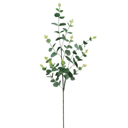 Picture of 94cm EUCALYPTUS SPRAY FROSTED GREEN