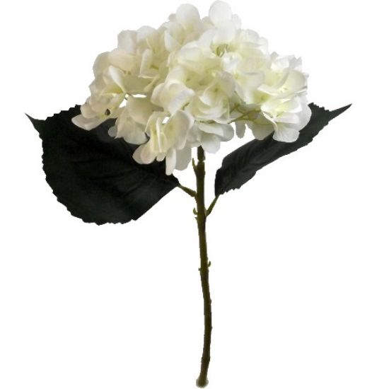 Picture of 46cm SINGLE HYDRANGEA IVORY