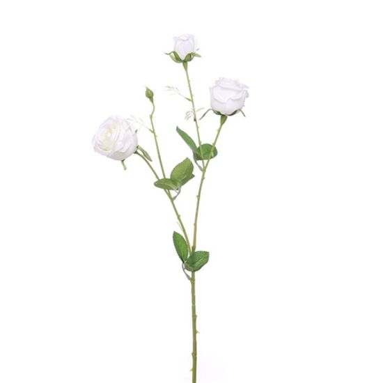 Picture of 67cm PRECIOUS ROSE SPRAY IVORY