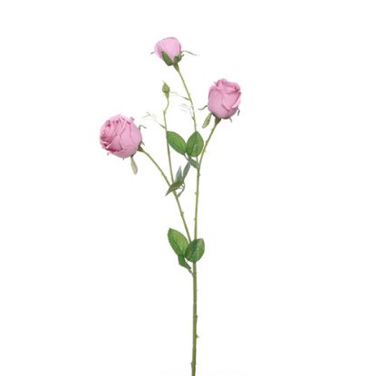 Picture of 67cm PRECIOUS ROSE SPRAY MAUVE