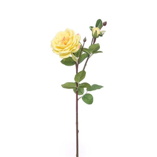 Picture of 62cm GARDEN ROSE SPRAY LEMON