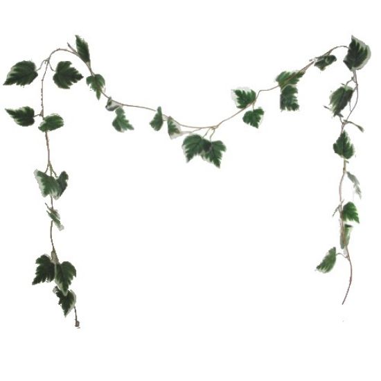 Picture of 8ft IVY LEAF GARLAND VARIEGATED X BAG OF 5pcs