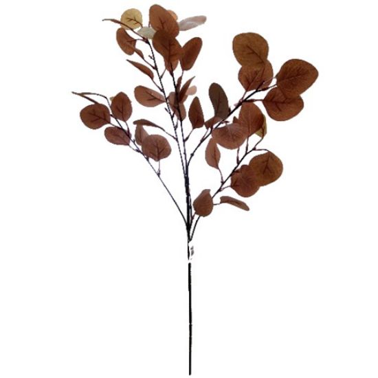 Picture of 85cm EUCALYPTUS SPRAY BROWN