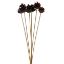 Picture of 4-6cm PINE CONE ON 50cm WOODEN STICK NATURAL x 6pcs