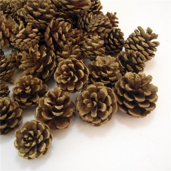 Picture of 5-7cm PINE CONES GOLD X 5kg