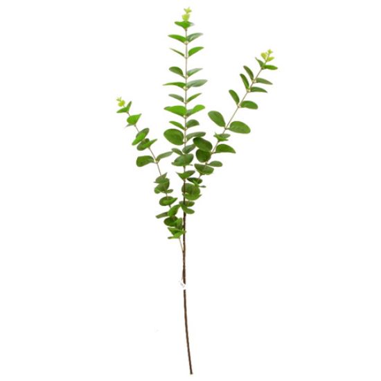 Picture of 83cm EUCALYPTUS SPRAY GREEN