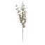 Picture of 83cm EUCALYPTUS SPRAY GREY/GREEN