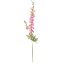 Picture of 86cm DELPHINIUM SPRAY PINK/CERISE