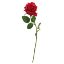 Picture of 45cm SINGLE ROSE RED
