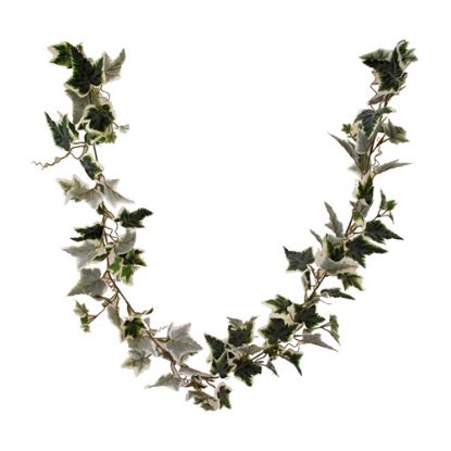 Picture of 183cm (6ft) PREMIUM FLOCKED HOLLAND IVY GARLAND VARIEGATED