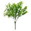 Picture of 32cm PLASTIC MINI TEA LEAF BUSH 2 TONE GREEN