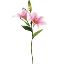 Picture of 66cm LILY SPRAY PINK X 24pcs (KNOCK DOWN PACKAGING - HEADS NEED ATTACHING)
