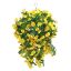 Picture of 10 INCH MORNING GLORY HANGING BASKET YELLOW X 12pcs