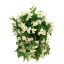 Picture of 10 INCH MORNING GLORY HANGING BASKET IVORY X 12pcs