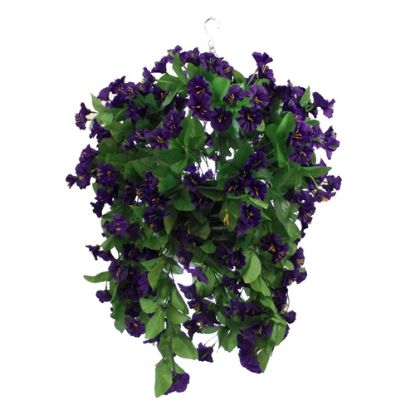 Picture of 10 INCH MORNING GLORY HANGING BASKET PURPLE X 12pcs