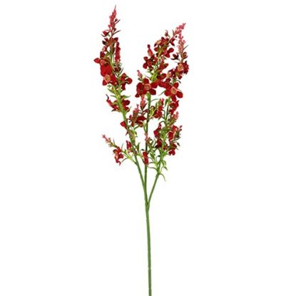 Picture of 75cm CATMINT SPRAY RED