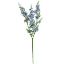 Picture of 75cm CATMINT SPRAY BLUE