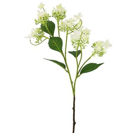 Picture of 93cm WILD HYDRANGEA SPRAY IVORY