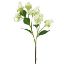 Picture of 93cm WILD HYDRANGEA SPRAY IVORY