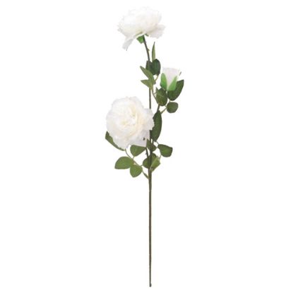 Picture of 66cm LARGE RANUNCULUS SPRAY IVORY