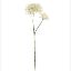 Picture of 70cm PLASTIC CROWN FLOWER SPRAY DRY COLOUR CREAM