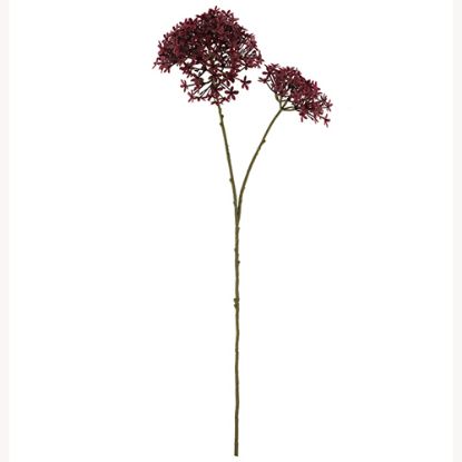 Picture of 70cm PLASTIC CROWN FLOWER SPRAY DRY COLOUR BURGUNDY