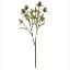 Picture of 68cm ERYNGIUM (SEA HOLLY) SPRAY DRY COLOUR MAUVE