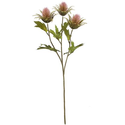 Picture of 67cm TEASEL SPRAY DRY COLOUR PINK