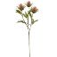 Picture of 67cm TEASEL SPRAY DRY COLOUR PINK