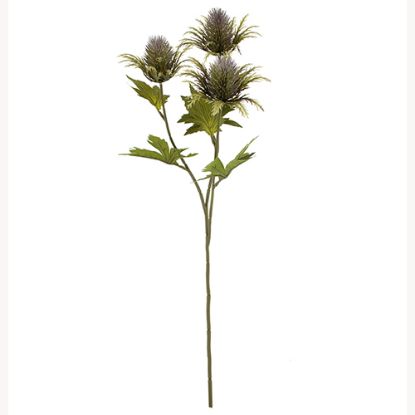 Picture of 67cm TEASEL SPRAY DRY COLOUR LILAC/PURPLE