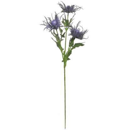 Picture of 67cm WILD ERYNGIUM (SEA HOLLY) SPRAY BLUE