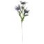 Picture of 67cm WILD ERYNGIUM (SEA HOLLY) SPRAY BLUE