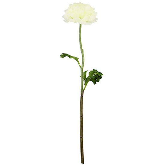 Picture of 51cm CHLOE SINGLE RANUNCULUS IVORY