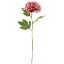 Picture of 77cm CHLOE LARGE BLOOMING PEONY VINTAGE PINK