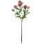 Picture of 56cm CHLOE PLASTIC POMPOM DAHLIA SPRAY VINTAGE PINK